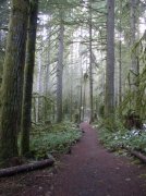 Silver Falls 12.10.05 078 